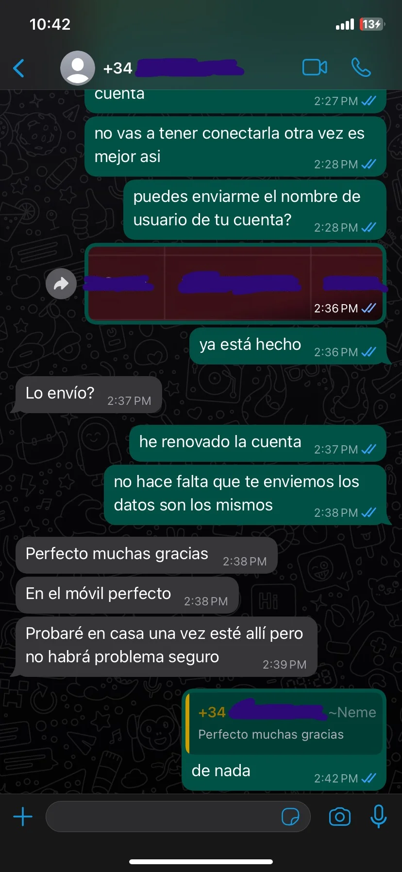 Conversación de WhatsApp - Cliente satisfecho con la renovación